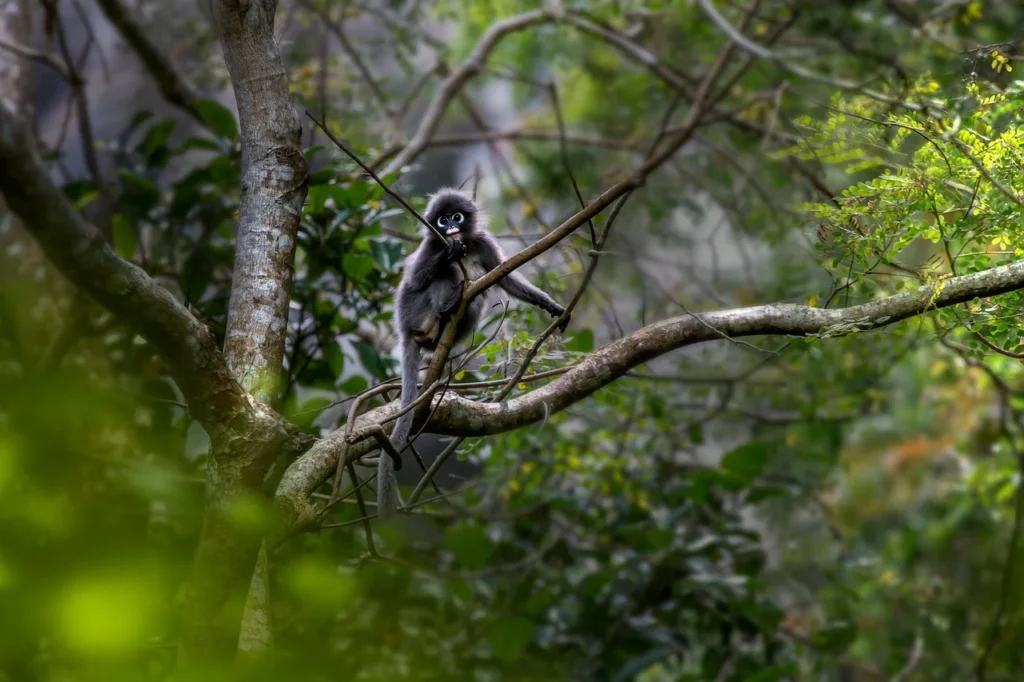 Most Beautiful and Underrated Cities in Thailand