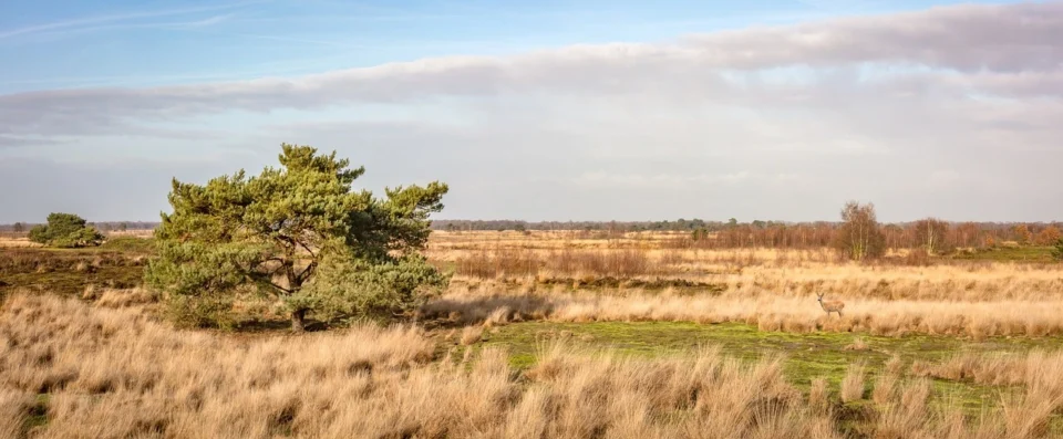 Interesting Parks for Wildlife and Nature in Vietnam