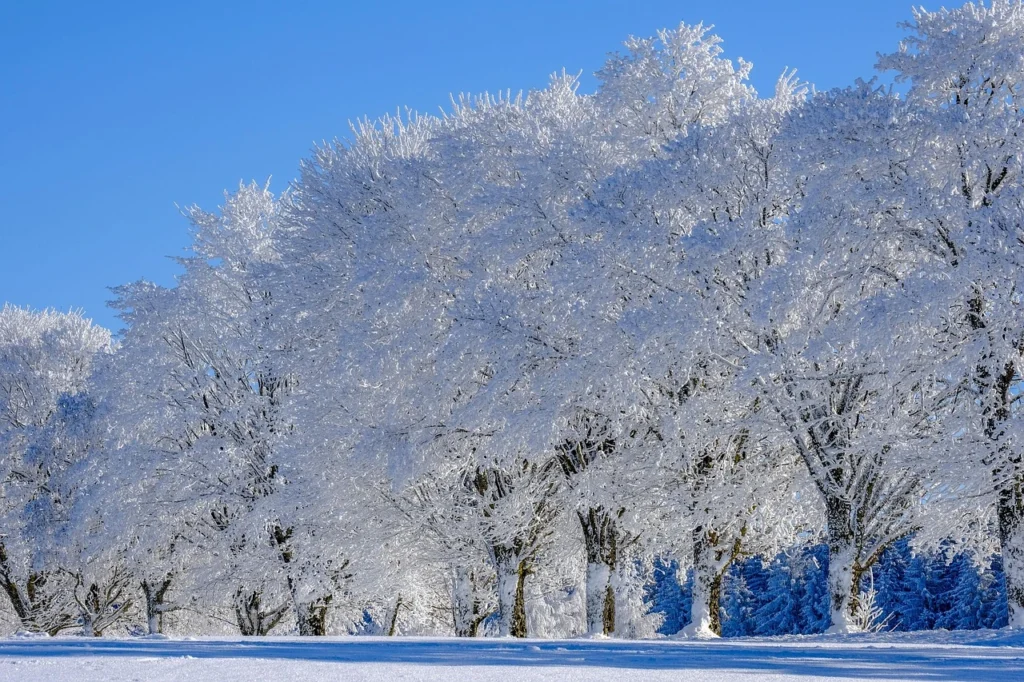 Which is the right time to visit Vietnam