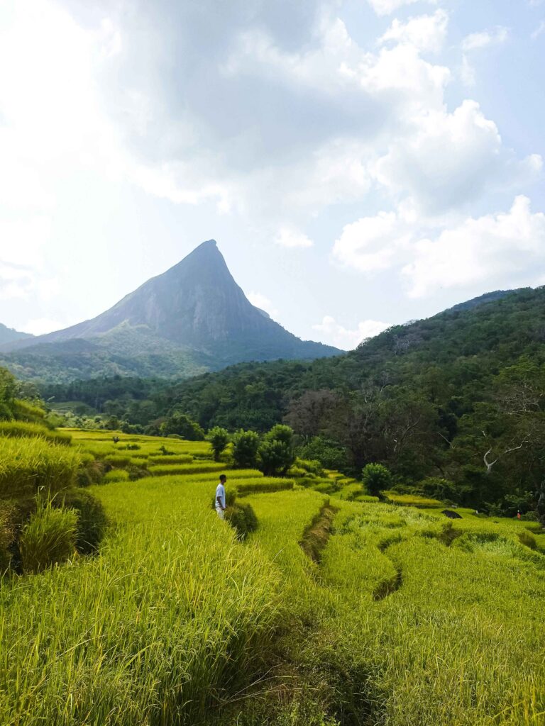 Sri lanka 